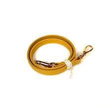 画像をギャラリービューアに読み込む, Short Strap